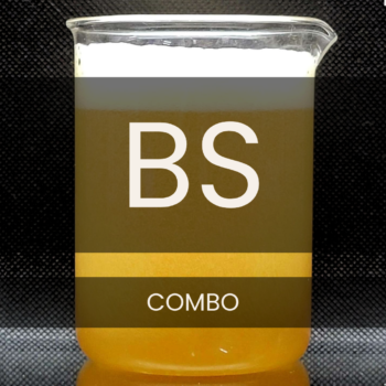 White text reading “BS” placed in front of a clear 250mL beaker containing yellow beer and a white foamy head.
