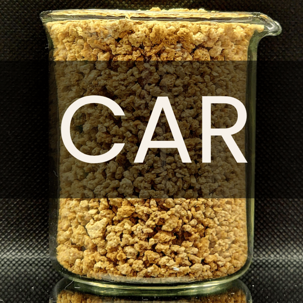White text reading “CAR” placed in front of a clear 250mL beaker containing malted barley. Carbohydrates analysis.