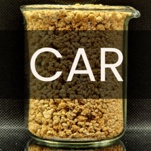 White text reading “CAR” placed in front of a clear 250mL beaker containing malted barley.
