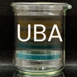 White text reading “UBA” placed in front of a clear 250mL beaker containing petri dishes.