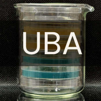 White text reading “UBA” placed in front of a clear 250mL beaker containing petri dishes.