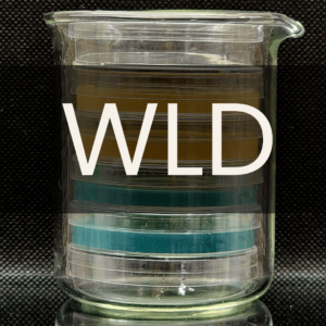 White text reading “WLD” placed in front of a clear 250mL beaker containing petri dishes.
