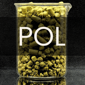 White text reading “POL” placed in front of a clear 250mL beaker containing green hop pellets.