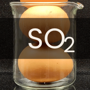 White text reading “SO2” placed in front of a clear 250mL beaker containing two brown eggs.