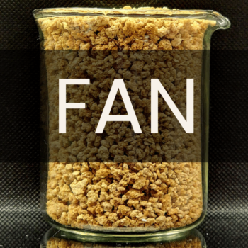 White text reading “FAN” placed in front of a clear 250mL beaker containing malted barley.